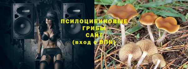 мяу мяу мука Алзамай