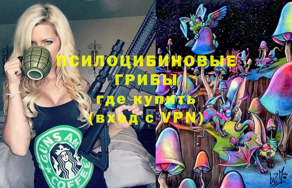 мяу мяу мука Алзамай