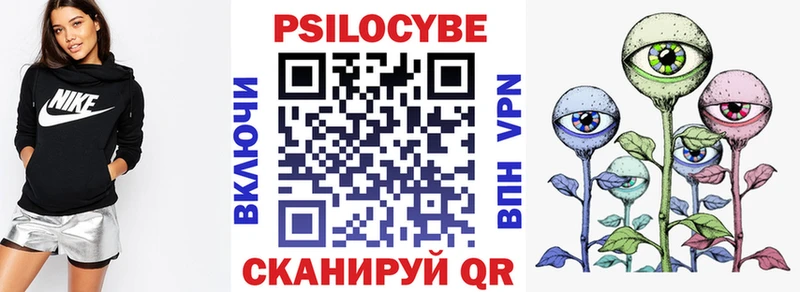 Псилоцибиновые грибы Cubensis  Петровск 