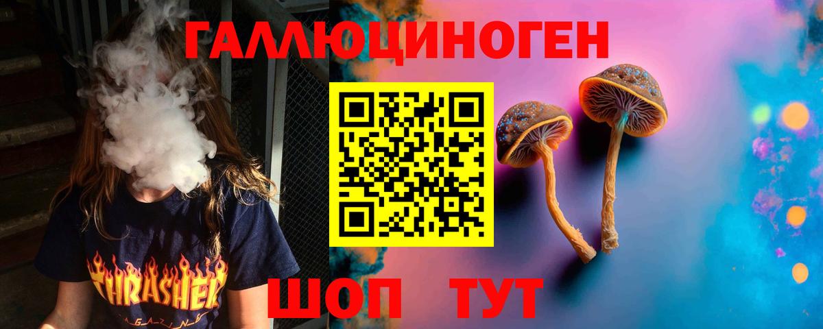 Галлюциногенные грибы MAGIC MUSHROOMS  Псилоцибиновые грибы мухоморы  Петровск  Вход с VPN 